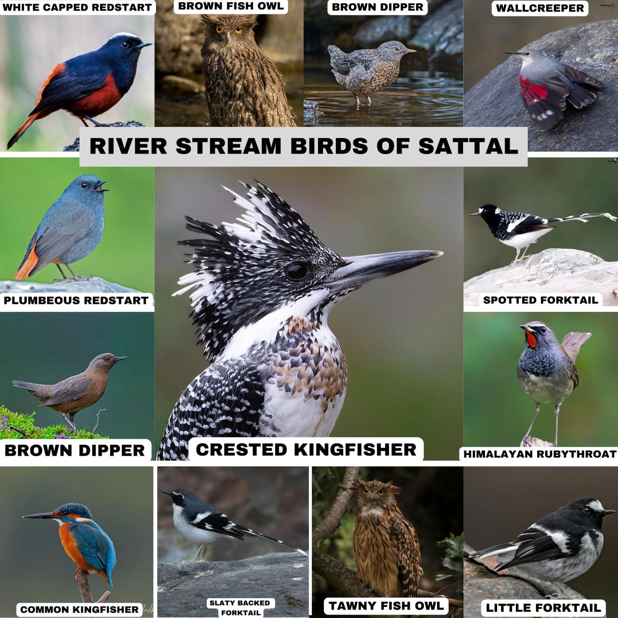 Incredible Birding Camp Apartment Bhīm Tāl Exterior foto